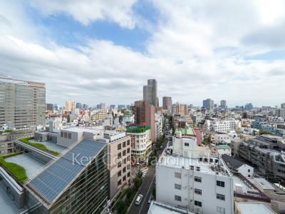 オーパスレジデンス恵比寿の写真 眺望（居室から）