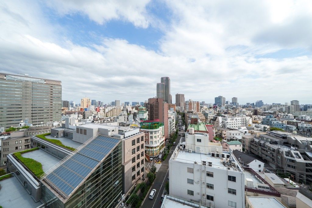 オーパスレジデンス恵比寿の写真 眺望（居室から）