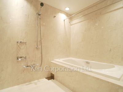 赤坂タワーレジデンスTop of the Hillの写真 バスルーム