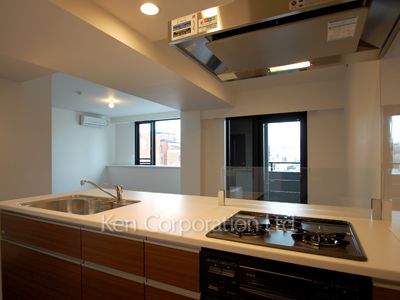 パークアクシス代官山の写真 キッチン