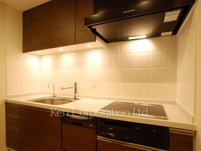 プラティーヌ西新宿の写真 キッチン