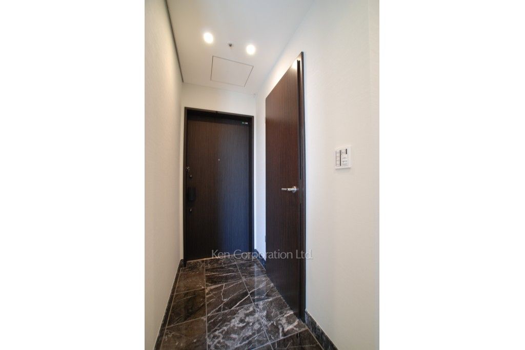 プラティーヌ西新宿の写真 玄関