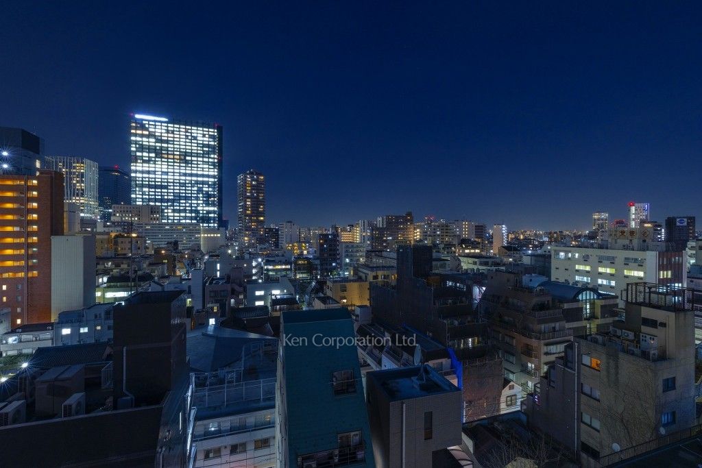 プラティーヌ西新宿の写真 眺望（居室から）