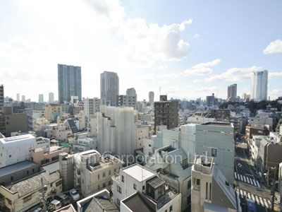 ザ・ベルグレイヴィア麻布の写真 眺望