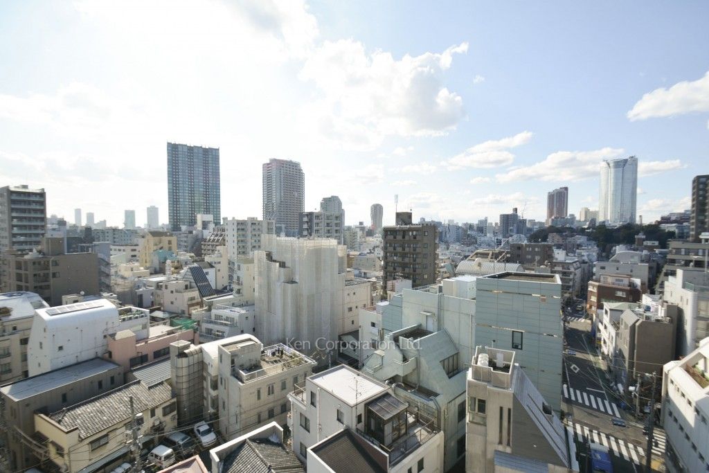 ザ・ベルグレイヴィア麻布の写真 眺望