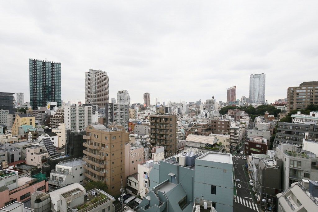 ザ・ベルグレイヴィア麻布の写真 眺望