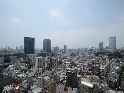 ザ・ベルグレイヴィア麻布の写真 眺望