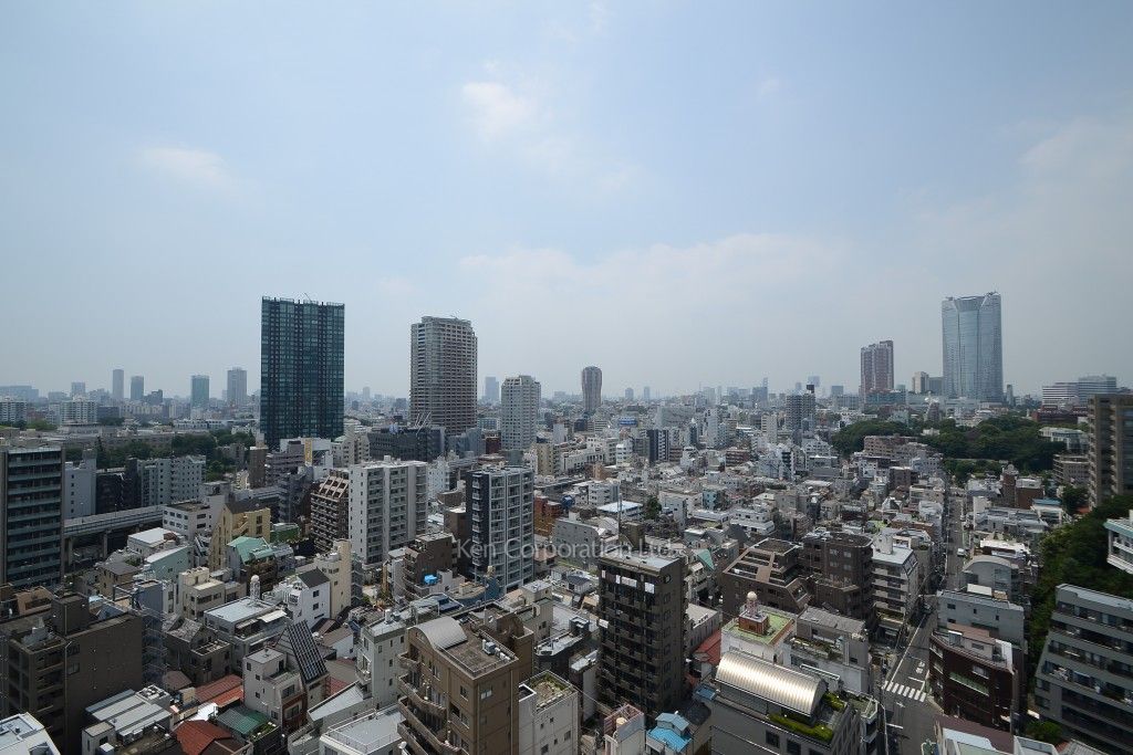 ザ・ベルグレイヴィア麻布の写真 眺望