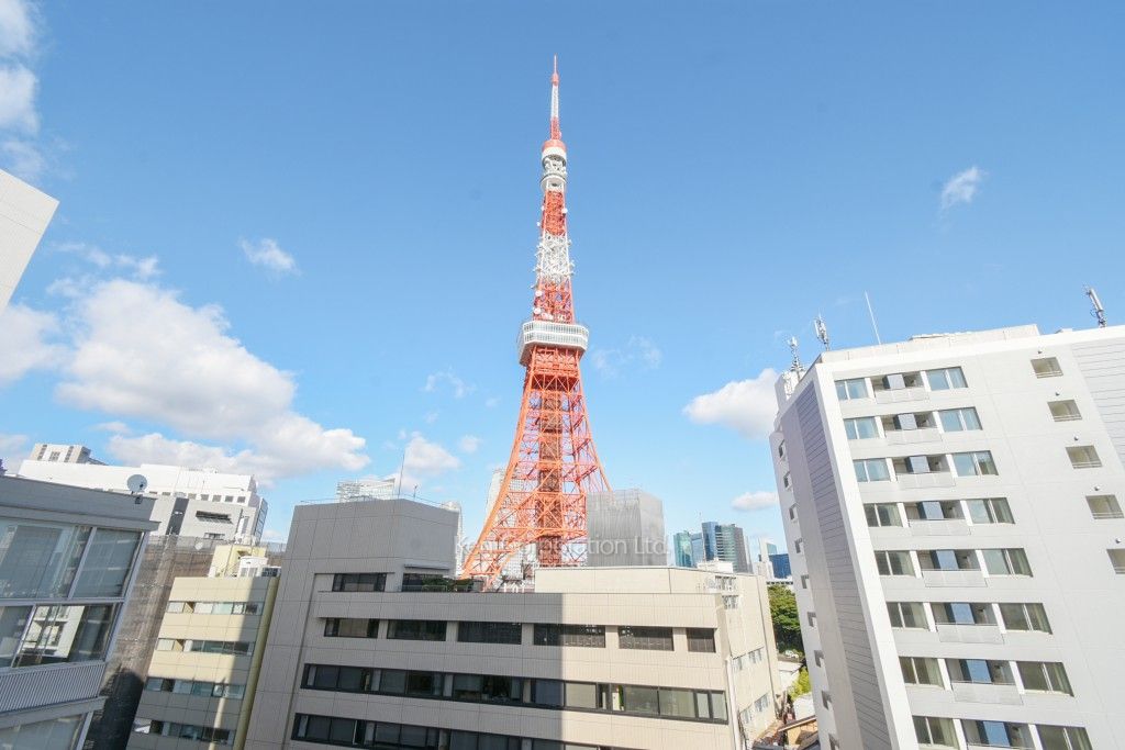 ザ・ベルグレイヴィア麻布の写真 眺望（居室から）
