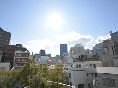 ザ・ベルグレイヴィア麻布の写真 眺望