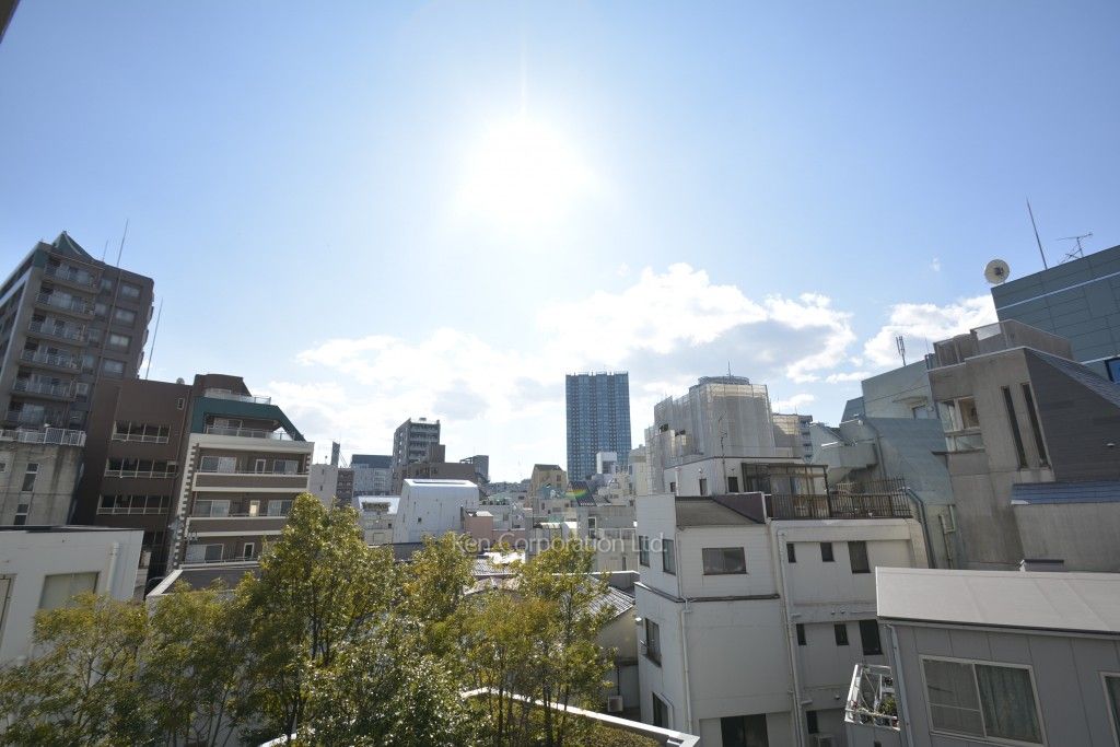 ザ・ベルグレイヴィア麻布の写真 眺望