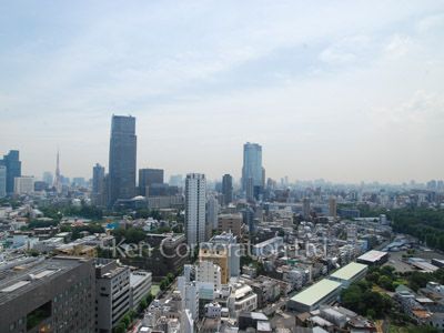パークアクシス青山一丁目タワーの写真 眺望（居室から）