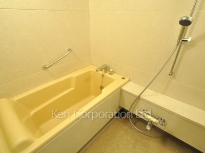 リバーポイントタワーの写真 バスルーム