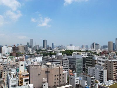 プラウドタワー東五反田の写真 眺望