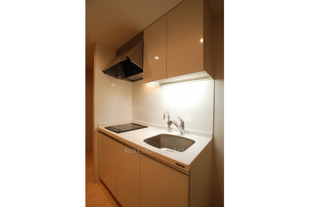 プラティーヌ御茶ノ水の写真 キッチン