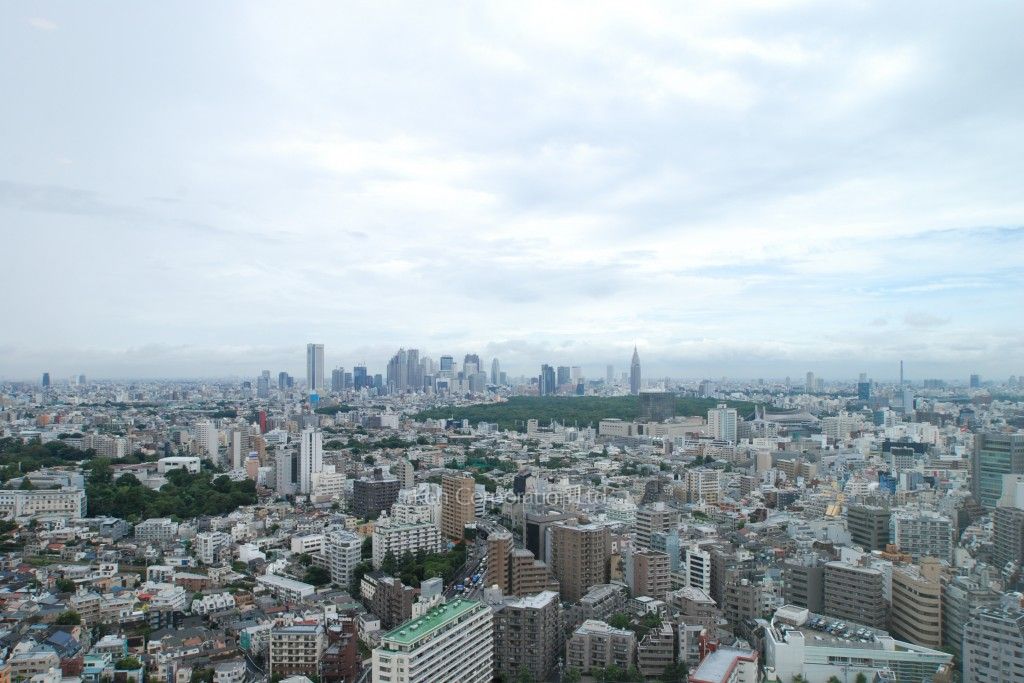 ラ・トゥール青葉台の写真 眺望