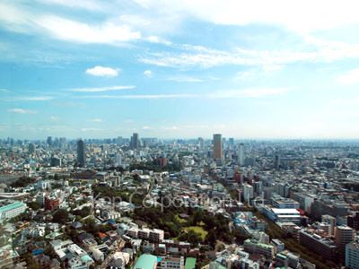 ラ・トゥール青葉台の写真 眺望