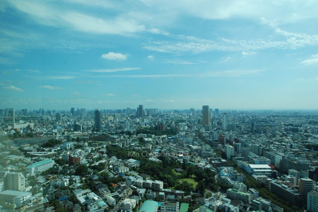 ラ・トゥール青葉台の写真 眺望