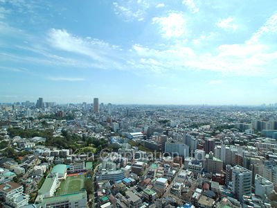 ラ・トゥール青葉台の写真 眺望