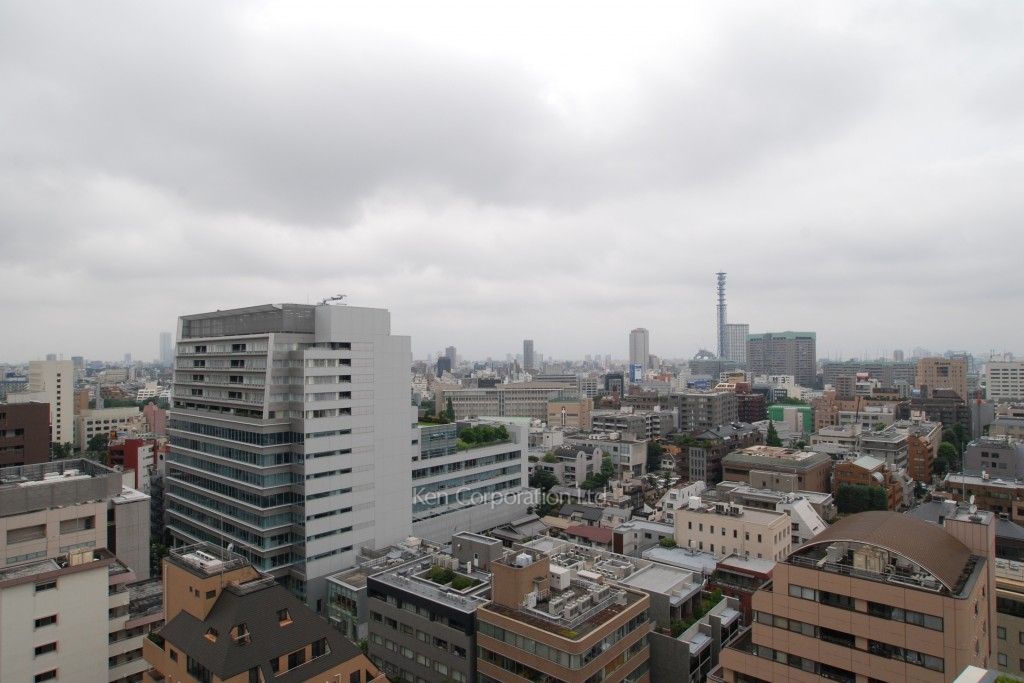 二番町テラスの写真 眺望