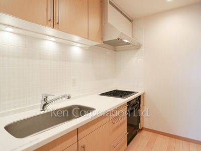 泉ガーデンレジデンスの写真 キッチン