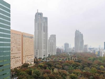 セントラルパークタワー ラ・トゥール新宿の写真 眺望（居室から）