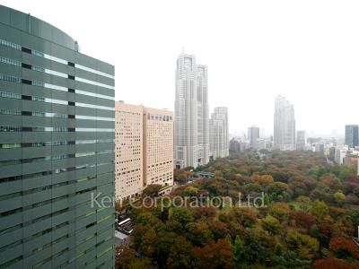 セントラルパークタワー ラ・トゥール新宿の写真 眺望（居室から）