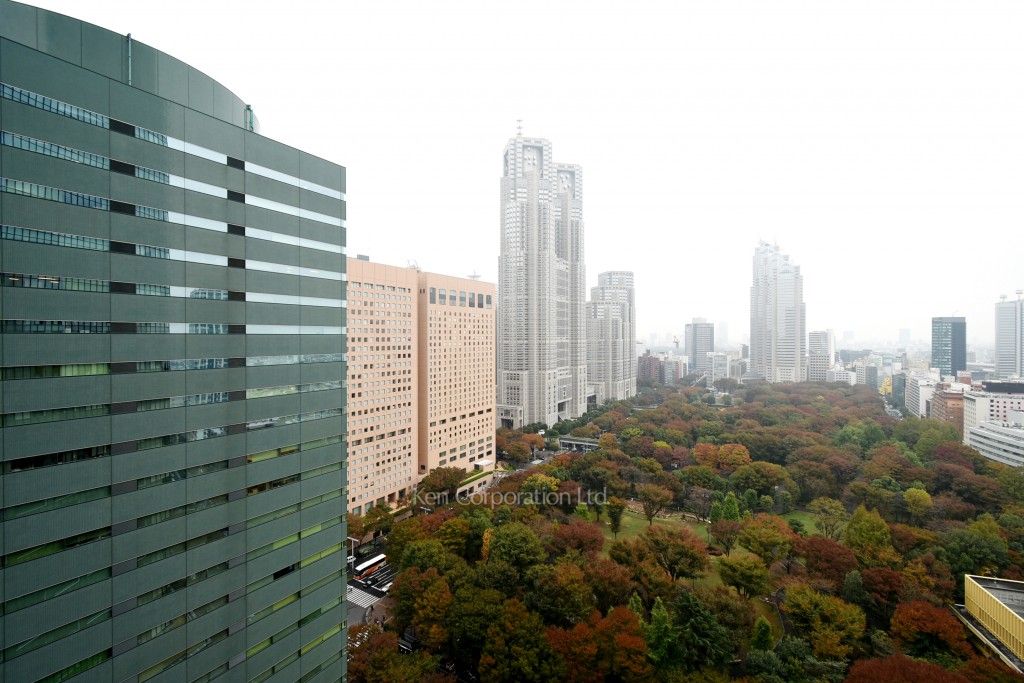 セントラルパークタワー ラ・トゥール新宿の写真 眺望（居室から）