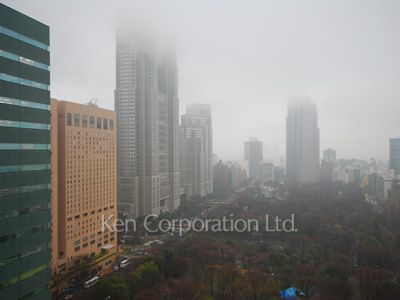 セントラルパークタワー ラ・トゥール新宿の写真 眺望（居室から）