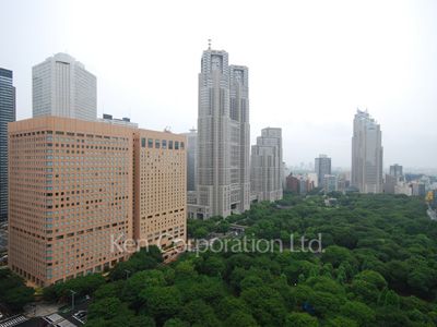 セントラルパークタワー ラ・トゥール新宿の写真 眺望（居室から）