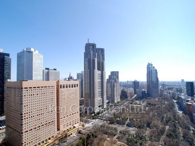 セントラルパークタワー ラ・トゥール新宿の写真 眺望（居室から）