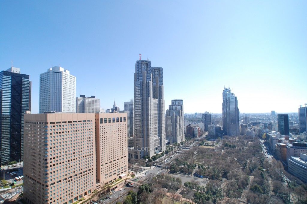 セントラルパークタワー ラ・トゥール新宿の写真 眺望（居室から）
