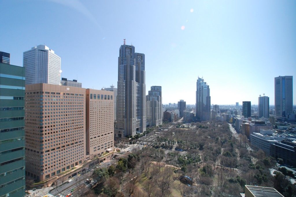 セントラルパークタワー ラ・トゥール新宿の写真 眺望（居室から）