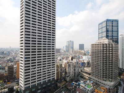 セントラルパークタワー ラ・トゥール新宿の写真 眺望（居室から）