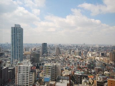 セントラルパークタワー ラ・トゥール新宿の写真 眺望（居室から）