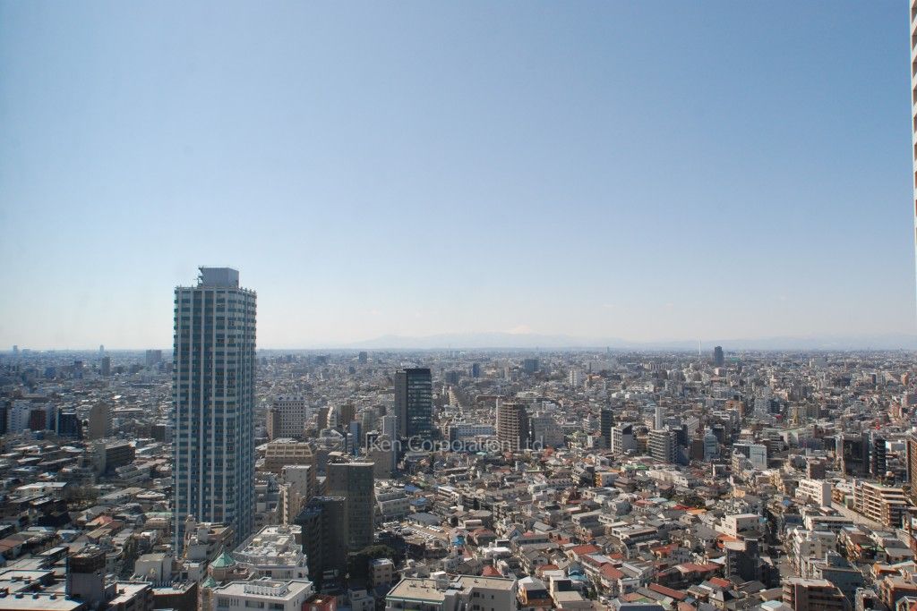 セントラルパークタワー ラ・トゥール新宿の写真 眺望（居室から）
