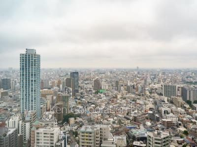 セントラルパークタワー ラ・トゥール新宿の写真 眺望（居室から）