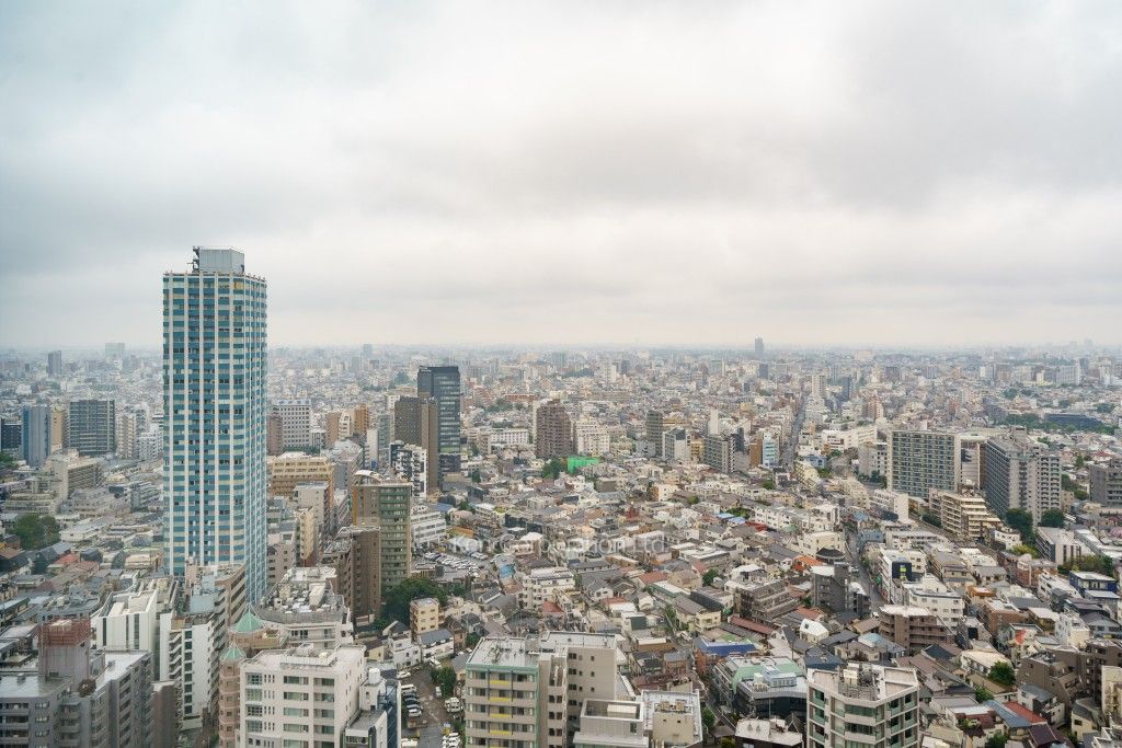 セントラルパークタワー ラ・トゥール新宿の写真 眺望（居室から）