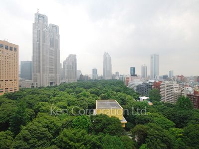 セントラルパークタワー ラ・トゥール新宿の写真 眺望（居室から）