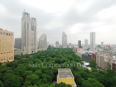 セントラルパークタワー ラ・トゥール新宿の写真 眺望（居室から）