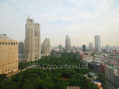 セントラルパークタワー ラ・トゥール新宿の写真 眺望（居室から）