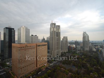 セントラルパークタワー ラ・トゥール新宿の写真 眺望（居室から）