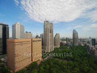 セントラルパークタワー ラ・トゥール新宿の写真 眺望（居室から）