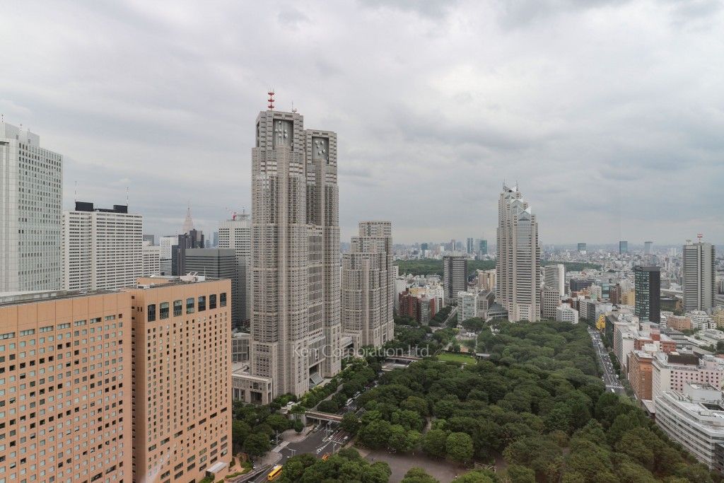 セントラルパークタワー ラ・トゥール新宿の写真 眺望（居室から）