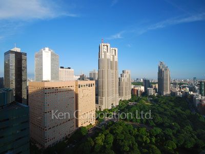 セントラルパークタワー ラ・トゥール新宿の写真 眺望（居室から）