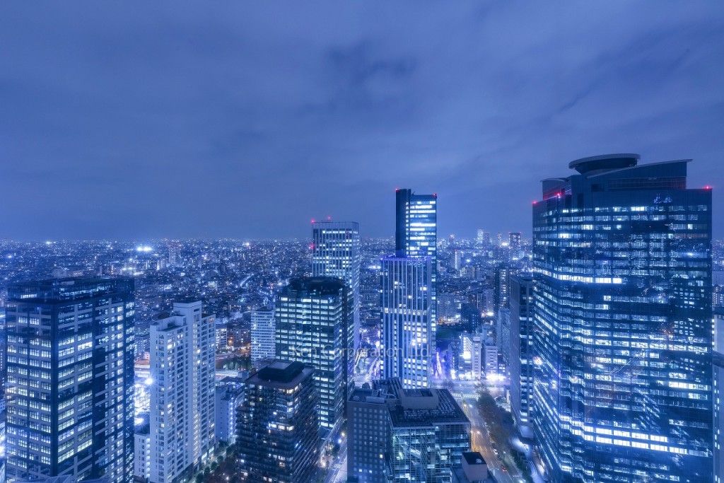 セントラルパークタワー ラ・トゥール新宿の写真 眺望（居室から）