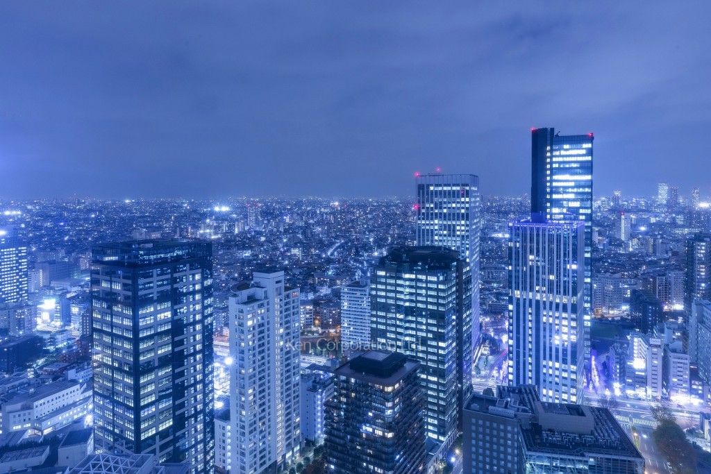 セントラルパークタワー ラ・トゥール新宿の写真 眺望（居室から）