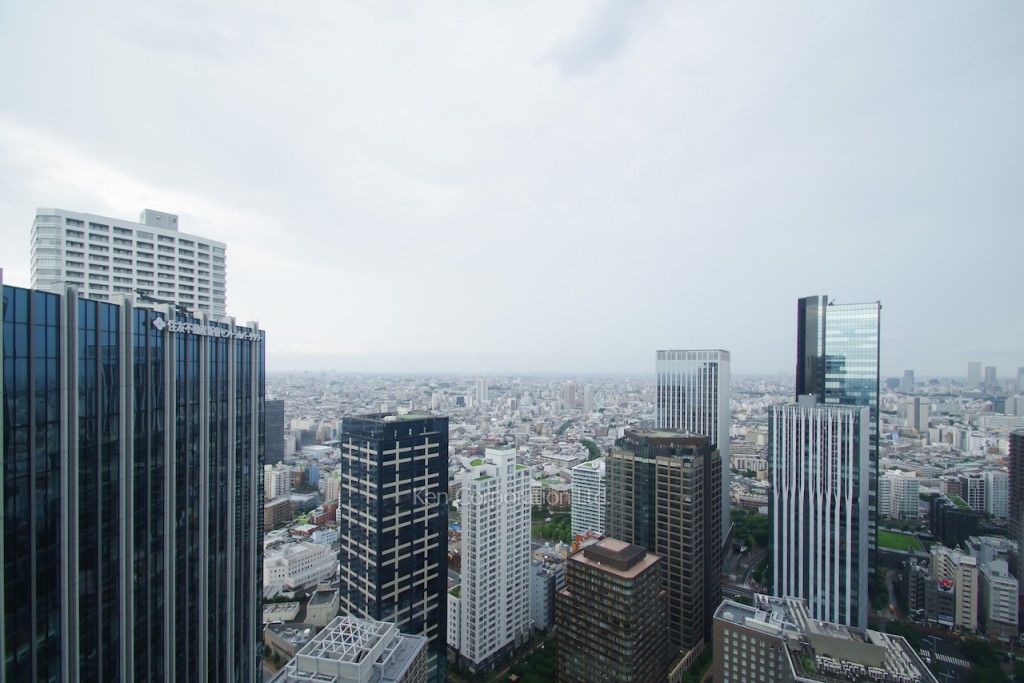 セントラルパークタワー ラ・トゥール新宿の写真 眺望（居室から）