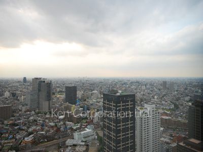 セントラルパークタワー ラ・トゥール新宿の写真 眺望（居室から）