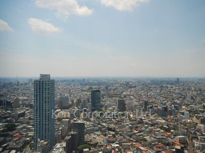 セントラルパークタワー ラ・トゥール新宿の写真 眺望（居室から）